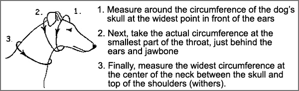 Royal Image Collars measurement guide