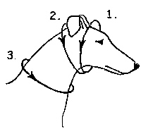 Measurement guide for a Martingale dog collar from Royal Image Collars